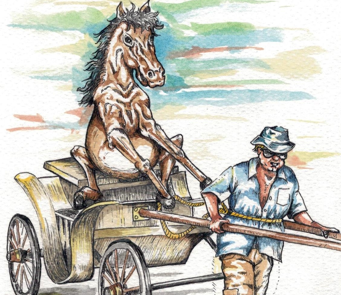 Reforma abre posibilidad a que calesas sean eléctricas en Yucatán